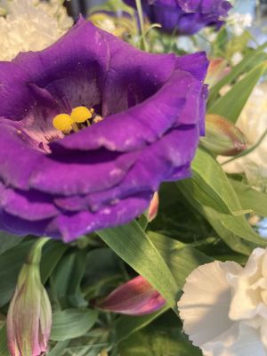 Safeway Bakery by null