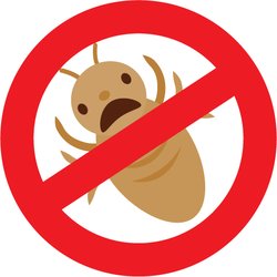 Peninsula Mobile Lice Solutions - Natural, non toxic lice treatment in the privacy and comfort of your own home.