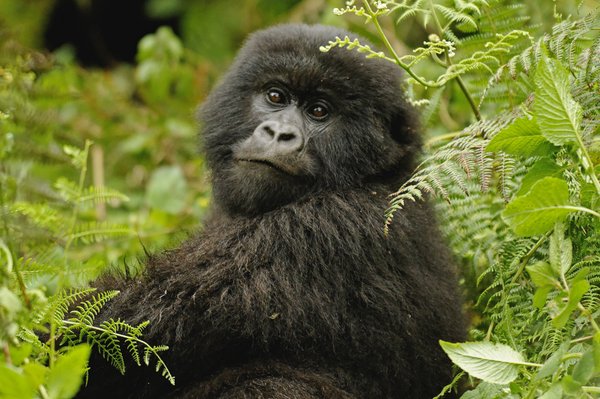 Terra Incognita Ecotours by null