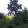 Photo of Buschgrabenrundweg