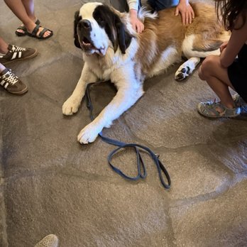 Timberline Lodge - Bruno, the hotel mascot..... - Ski Resorts Near Me - Government Camp, Oregon