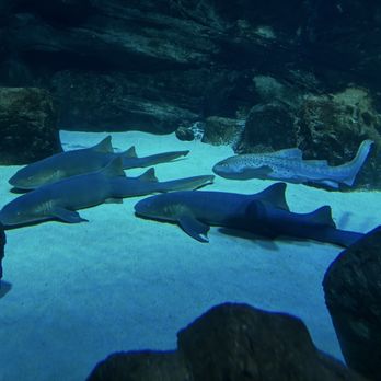 L'Aquarium - Aquariums Near Me - Paris, 75