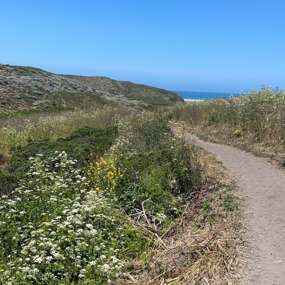Kehoe Beach - Trail to beach - Beaches Near Me - Tomales Bay, California