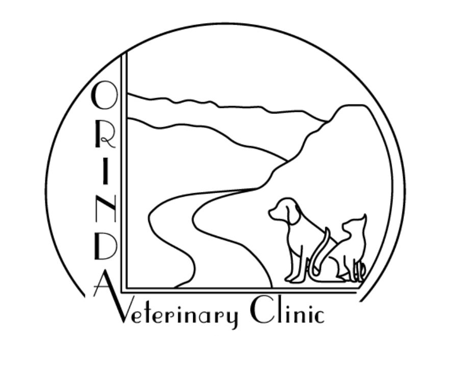 ORINDA VETERINARY CLINIC 72 Reviews Veterinarians 23 Orinda Way