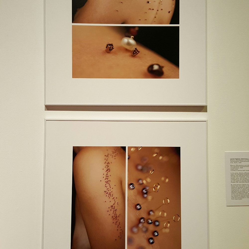 Frost Art Museum - Lauren Kalman at Pierce,Mark,Morph exhibition - Art Museums Near Me - Miami, Florida