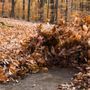 Photo of Joses Landscaping