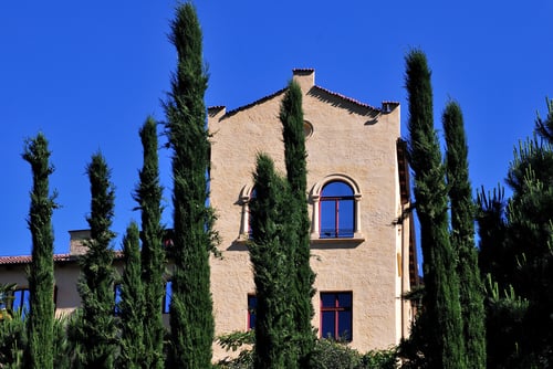 Trauttmansdorff Gärten by null