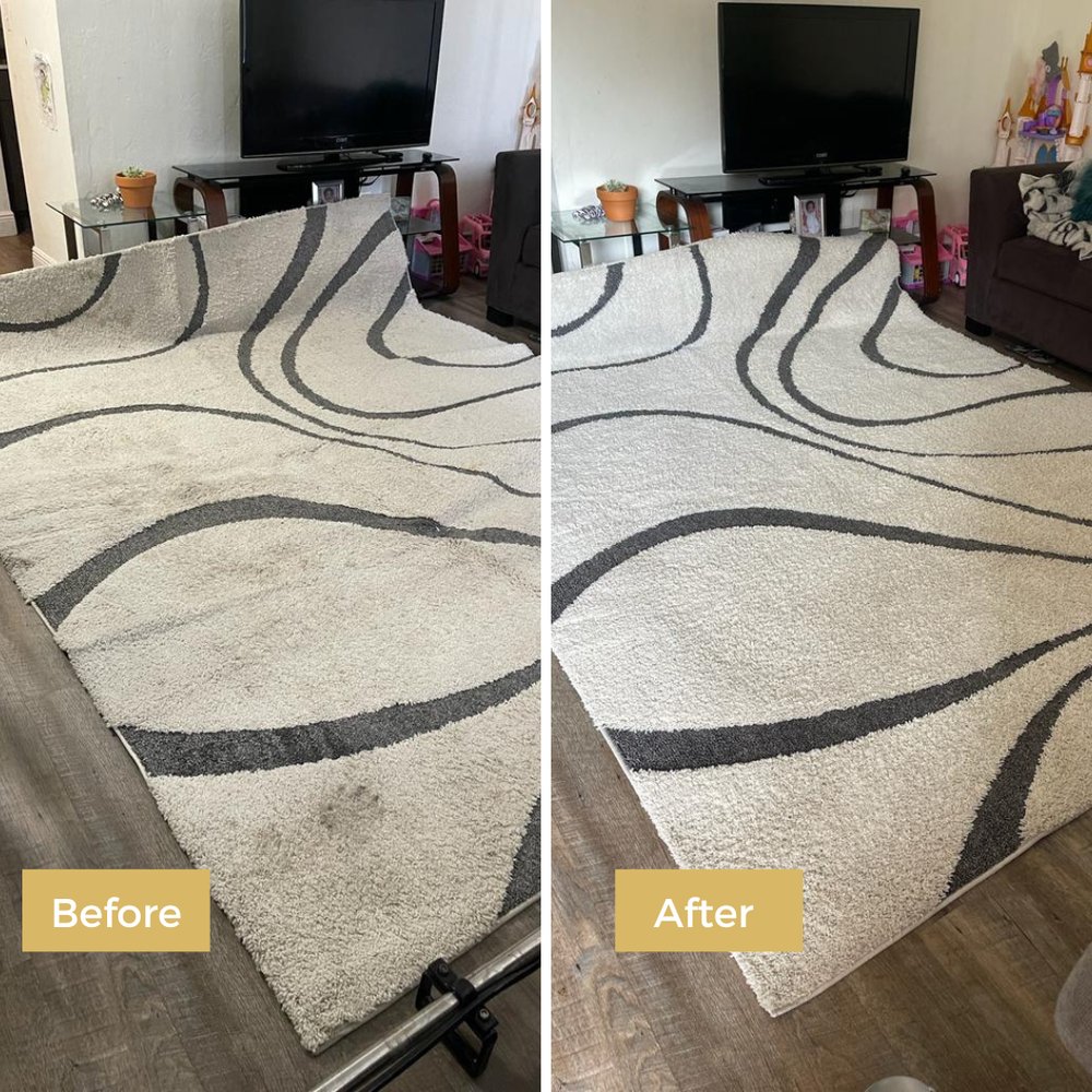 GOLD CLEAN Margate, Florida Carpet Cleaning Phone Number Yelp