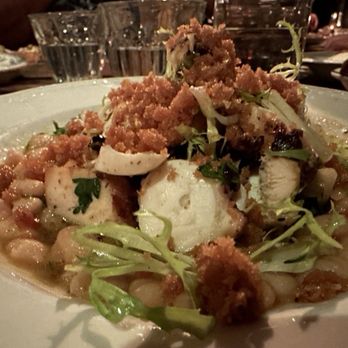 Sotto - grilled octopus - white bean shishito ragu, breadcrumbs - Italian Near Me - Cincinnati, Ohio
