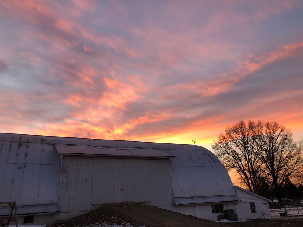 Our Pleasure Stables - equestrian in Rittman, OH
