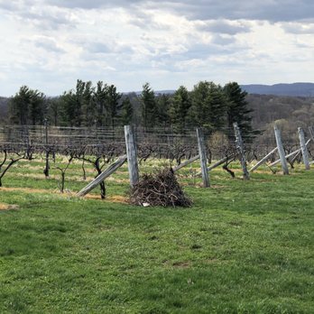 Gouveia Vineyards - The vineyard. - Wineries Near Me - Wallingford, Connecticut Gouveia Vineyards - The vineyard. - Wineries Near Me - Wallingford, Connecticut