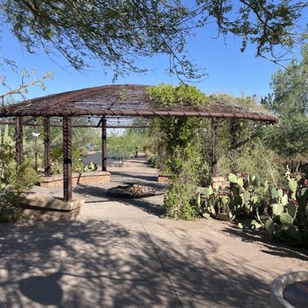 Desert Botanical Garden - Botanical Gardens Near Me - Phoenix, Arizona Desert Botanical Garden - Botanical Gardens Near Me - Phoenix, Arizona