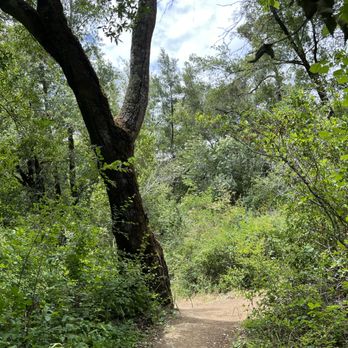 Hidden Villa - Community Service/Non-Profit Near Me - Los Altos Hills, California