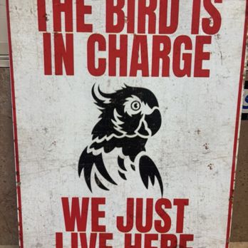 Omar's Exotic Birds - Pet Sitting Near Me - Mission Viejo, California