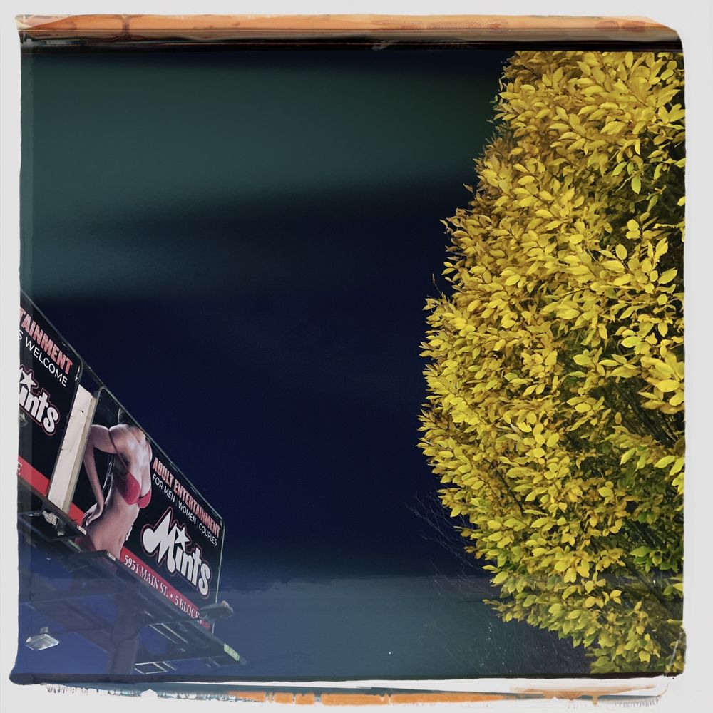 PEPPERMINTS Updated September 2024 5951 Main St, Niagara Falls