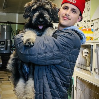 The Pampered Pet - Pet Groomers Near Me - Millbrae, California The Pampered Pet - Pet Groomers Near Me - Millbrae, California