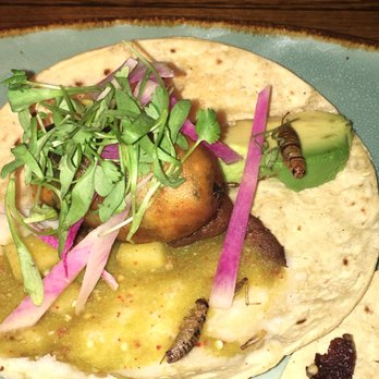 Linger - Asian Fusion Near Me - Denver, Colorado