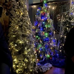 Blitzen - Christmas trees in the front entrance