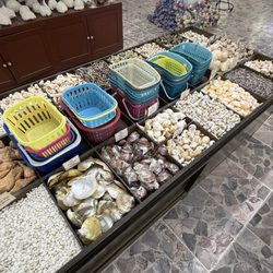 Sea Shell City