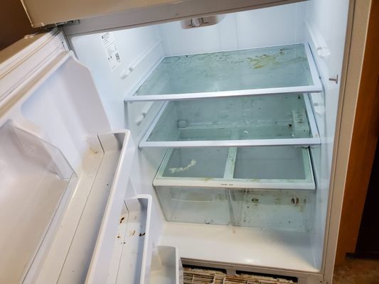 Fridge Cleaner - This fridge needed to be cleaned very well from all the stains it had & wiped down well. Esta nevera necesitaba ser limpiada muy bien de todas las manchas que tenía y limpiada bien.
