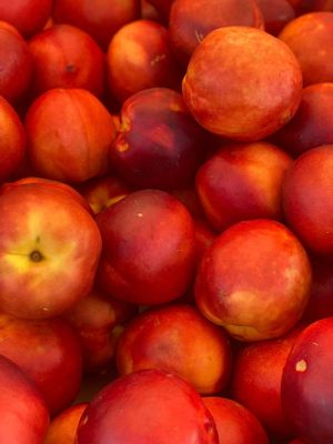 Kenosha Public Market by null