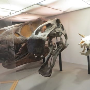 Pacific Science Center - Pacific Science Center 09 - Museums Near Me - Seattle, Washington Pacific Science Center - Pacific Science Center 09 - Museums Near Me - Seattle, Washington