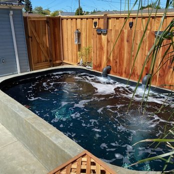 A-1 Koi Ponds - Local Fish Stores Near Me - San Ramon, California