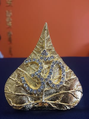 India Sajawat & Puja Hut by null