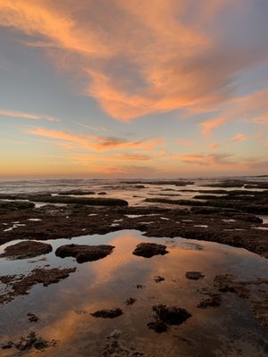 Lifeguard La Jolla Cove by null