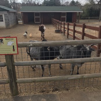 Nova Wild - Petting Zoos Near Me - Vienna, Virginia Nova Wild - Petting Zoos Near Me - Vienna, Virginia