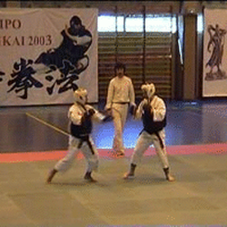 vallet shorinji kempo - Entraînement au combat