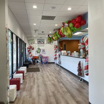 Little Kids Dentistry SF - Pediatric Dentists Near Me - Whittier, California Little Kids Dentistry SF - Pediatric Dentists Near Me - Whittier, California
