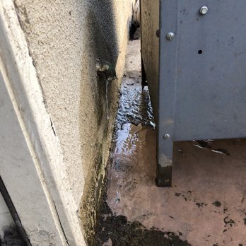 A's Plumbing - The leaking drain line. - Plumbing Near Me A's Plumbing - The leaking drain line. - Plumbing Near Me