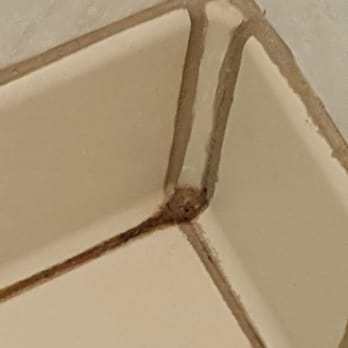 Hampton Inn Marion - Disgusting - Hotels Near Me - Marion, North Carolina Hampton Inn Marion - Disgusting - Hotels Near Me - Marion, North Carolina