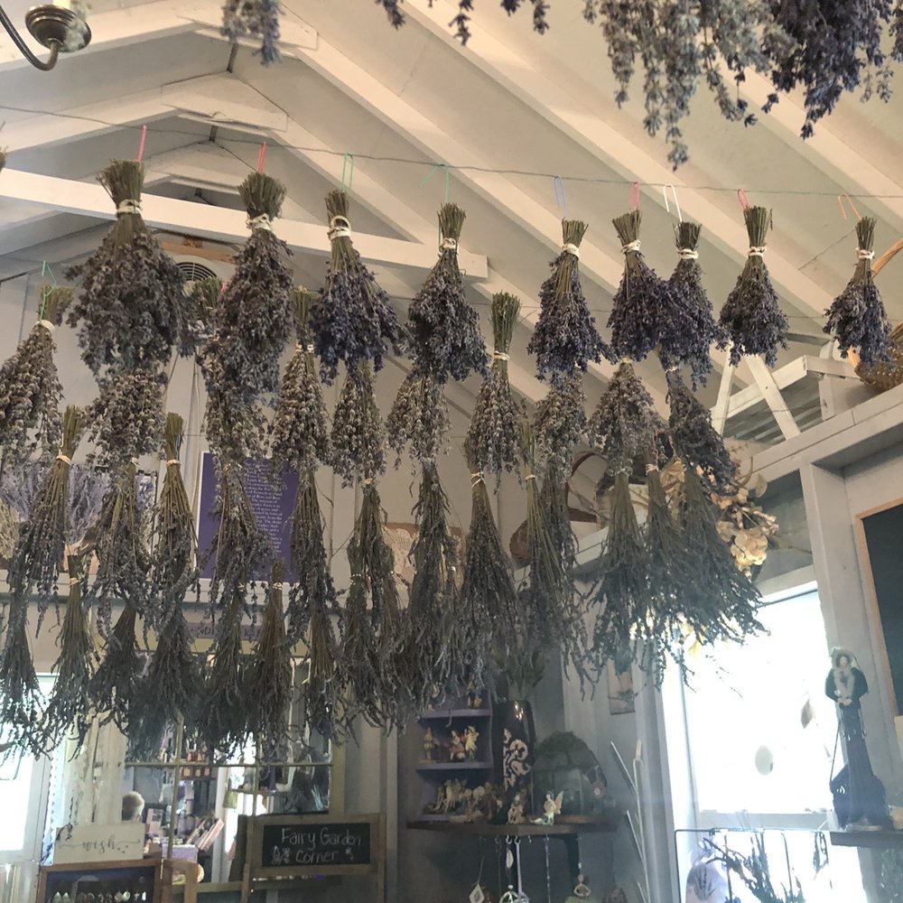 Paradise Lavender Farm - Dried lavender in the store for purchase - Farms Near Me - Cresco, Pennsylvania Paradise Lavender Farm - Dried lavender in the store for purchase - Farms Near Me - Cresco, Pennsylvania