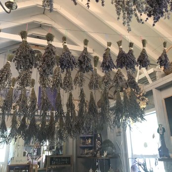 Paradise Lavender Farm - Dried lavender in the store for purchase - Farms Near Me - Cresco, Pennsylvania Paradise Lavender Farm - Dried lavender in the store for purchase - Farms Near Me - Cresco, Pennsylvania