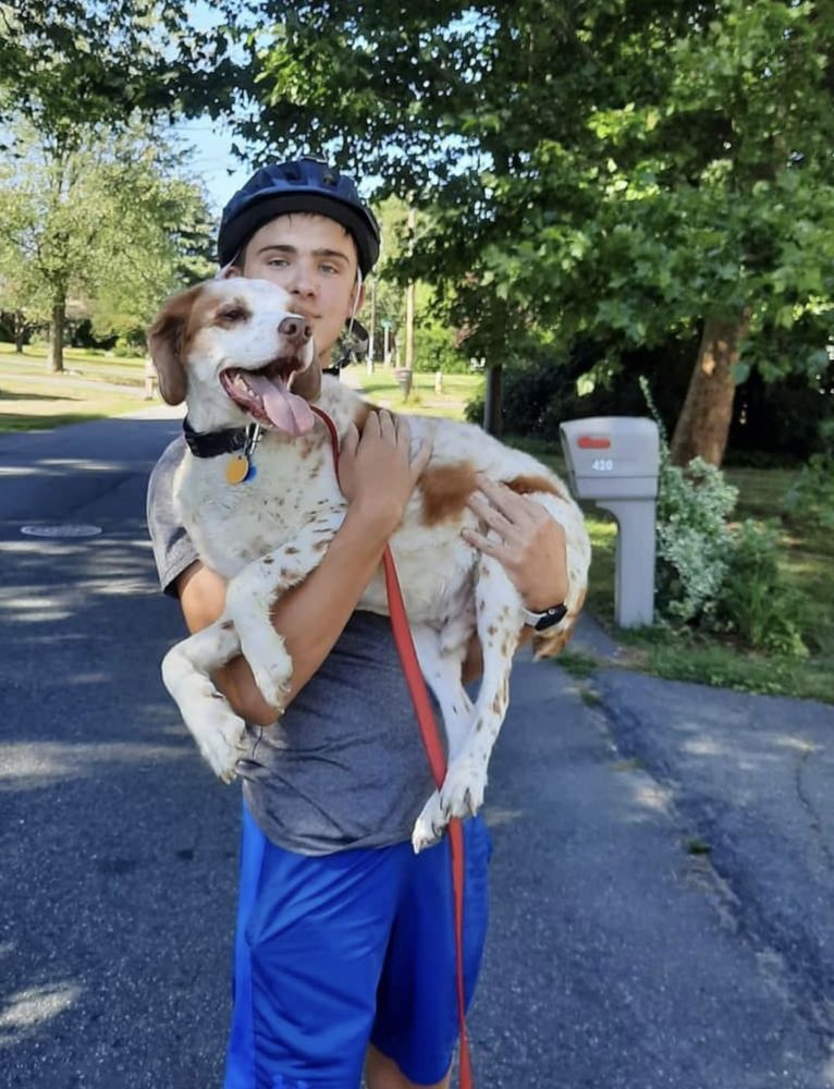 Friendly Paws Pet Sitting & Supplies - pet boarding facility in Springfield, MA