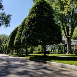 Best Tree Service