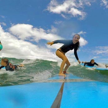 The Wild Traveler - Surf's up on Kauai's north shore. - Tours Near Me The Wild Traveler - Surf's up on Kauai's north shore. - Tours Near Me
