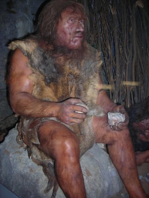 Museum of Prehistory of the Gorges du Verdon by null