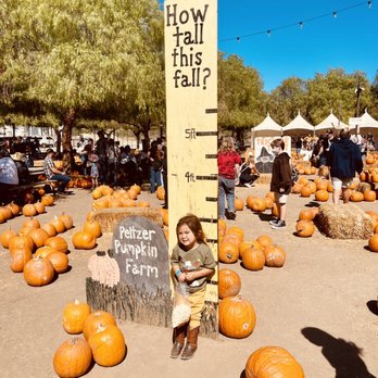 Peltzer Pumpkin Farm - Pumpkin Patches Near Me - Temecula, California