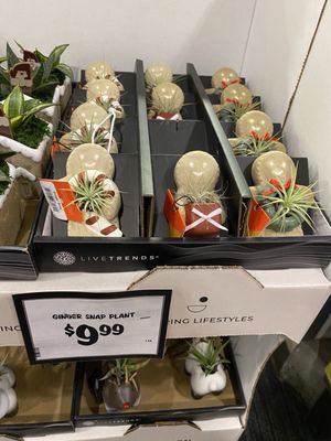 Sprouts Farmers Market by null