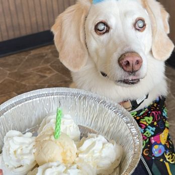 Dawg Park - Hot Dogs Near Me - Glenview, Illinois