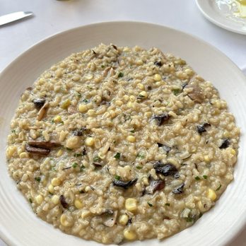 Bistro Don Giovanni - RISOTTO - wild mushroom, white corn, truffle butter, parmigiano Reggiano - Italian Near Me - Napa, California