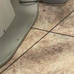 Castle Dental & Orthodontics - Dirty, bugs, debris