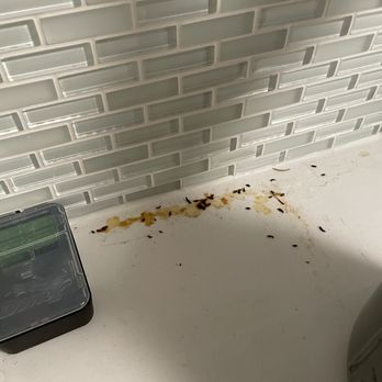 The BLVD Collection - Mice droppings - Apartments Near Me - Jersey City, New Jersey The BLVD Collection - Mice droppings - Apartments Near Me - Jersey City, New Jersey