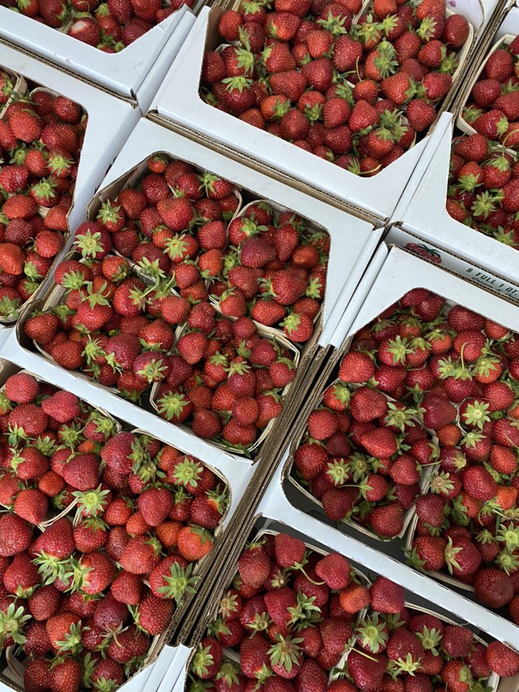 THE PRODUCE STATION 223 Photos & 90 Reviews Fruits & Veggies 1629