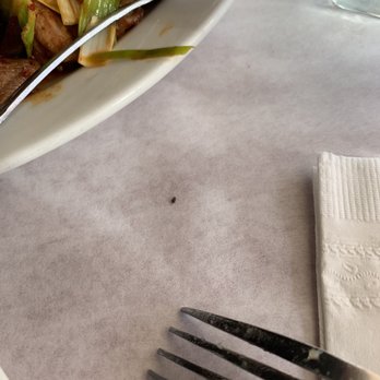 Lao Sze Chuan - live insect - Szechuan Near Me - Chicago, Illinois