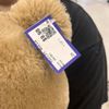 Thrift World gift card