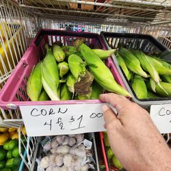 Dollar Star - CORN ON THE COB